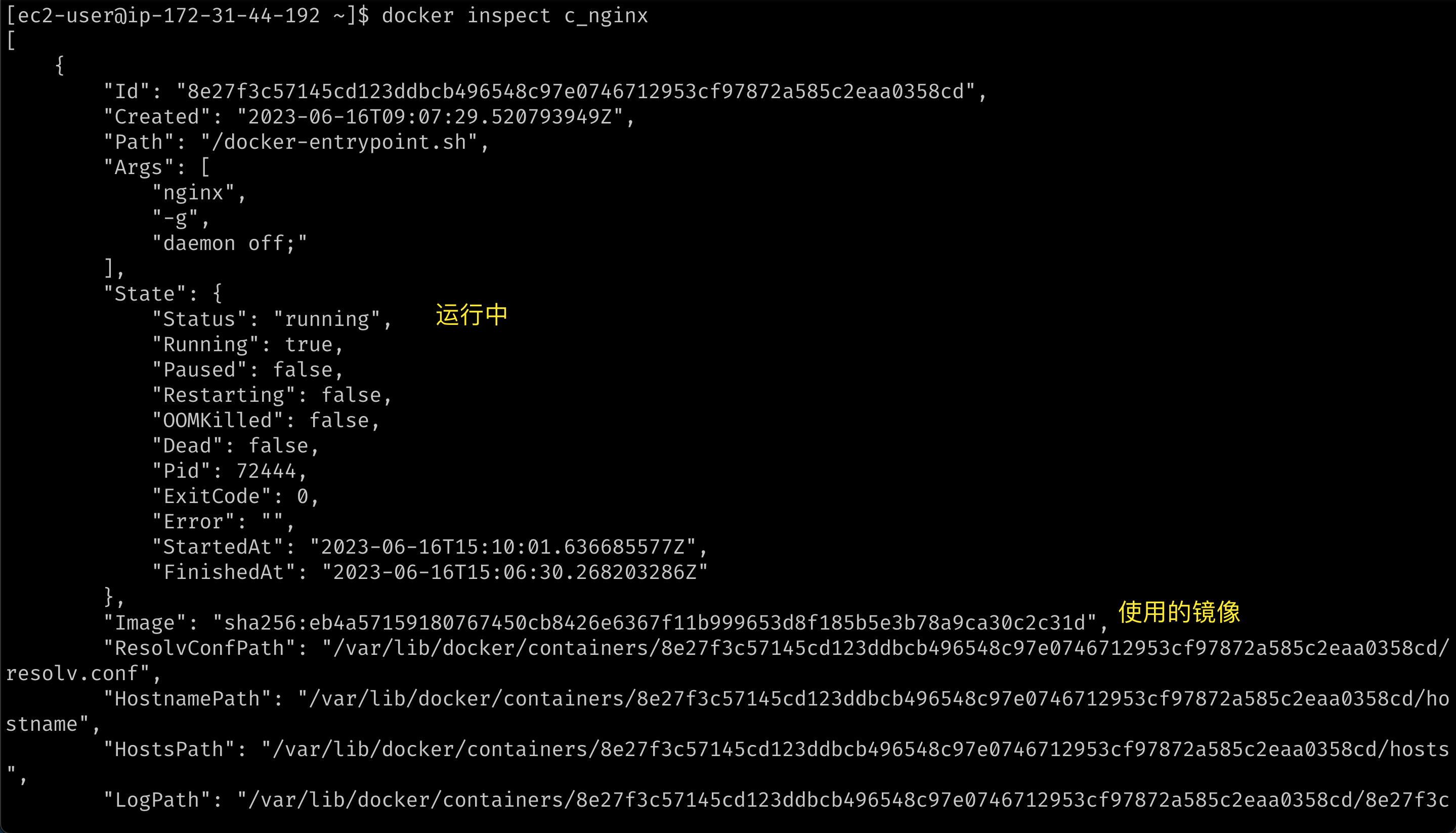docker-inspect