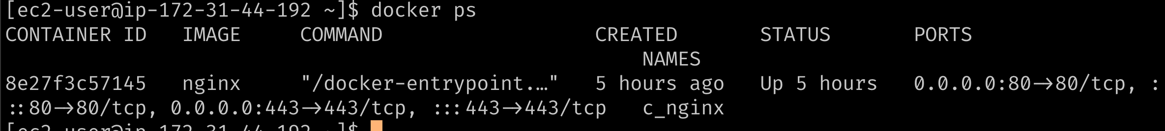 docker-ps